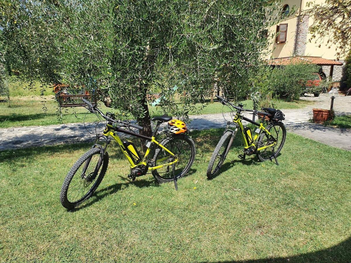 Agriturismo Il Poderetto Licciana Nardi Екстериор снимка