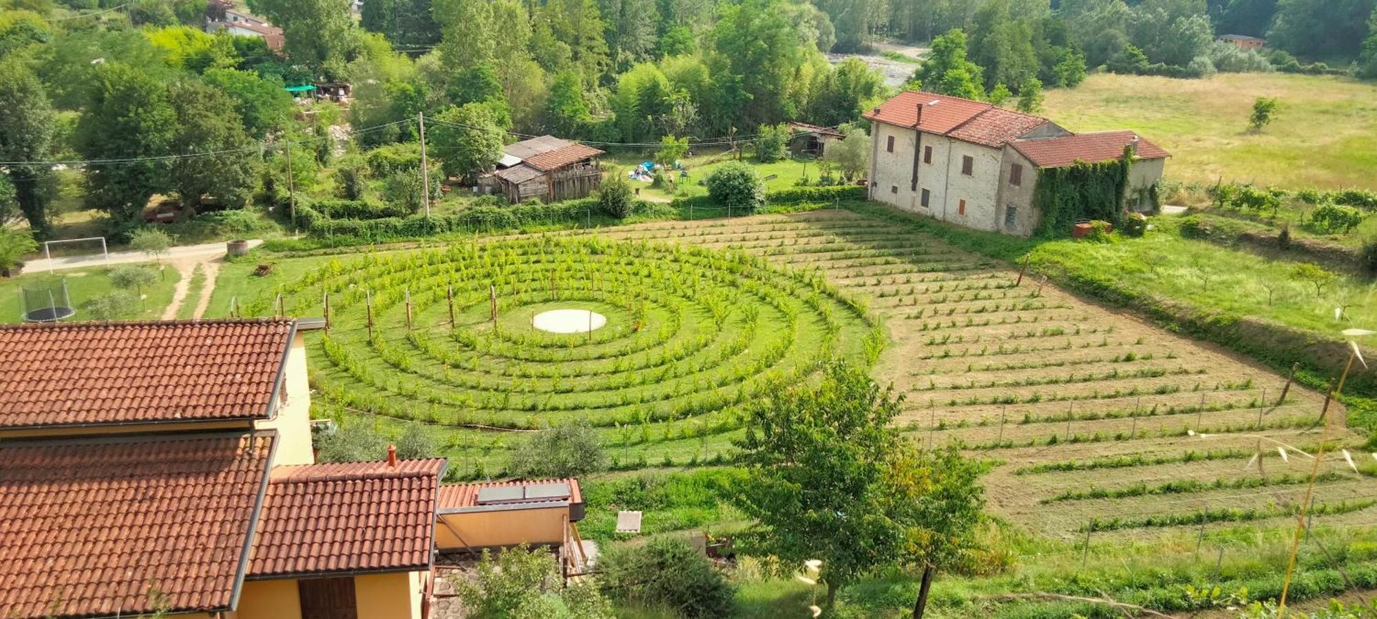 Agriturismo Il Poderetto Licciana Nardi Екстериор снимка