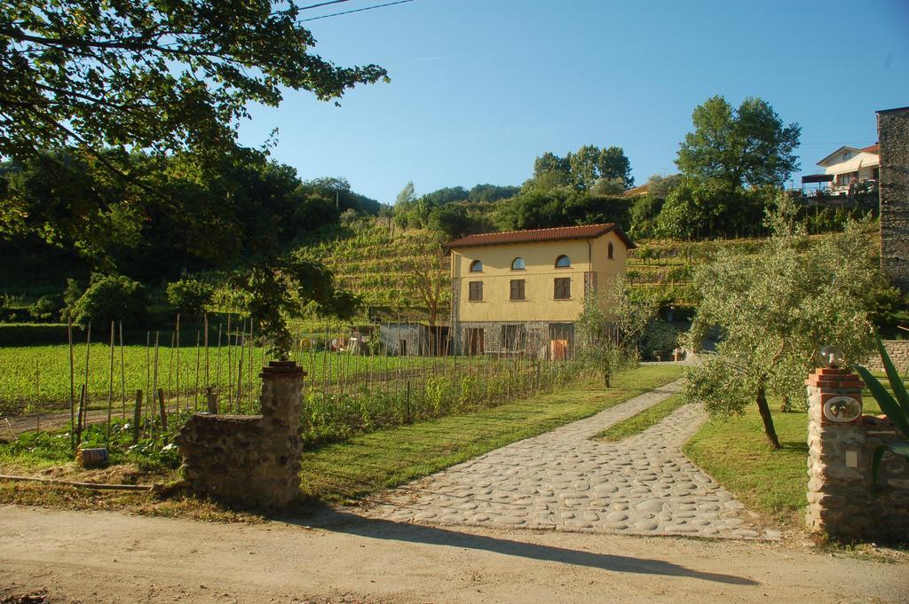 Agriturismo Il Poderetto Licciana Nardi Екстериор снимка