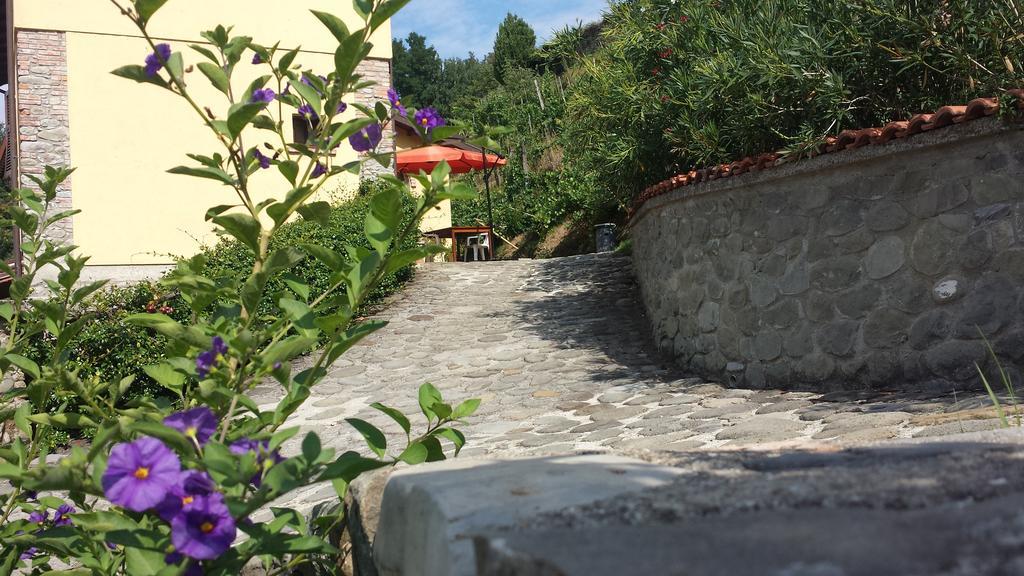 Agriturismo Il Poderetto Licciana Nardi Екстериор снимка